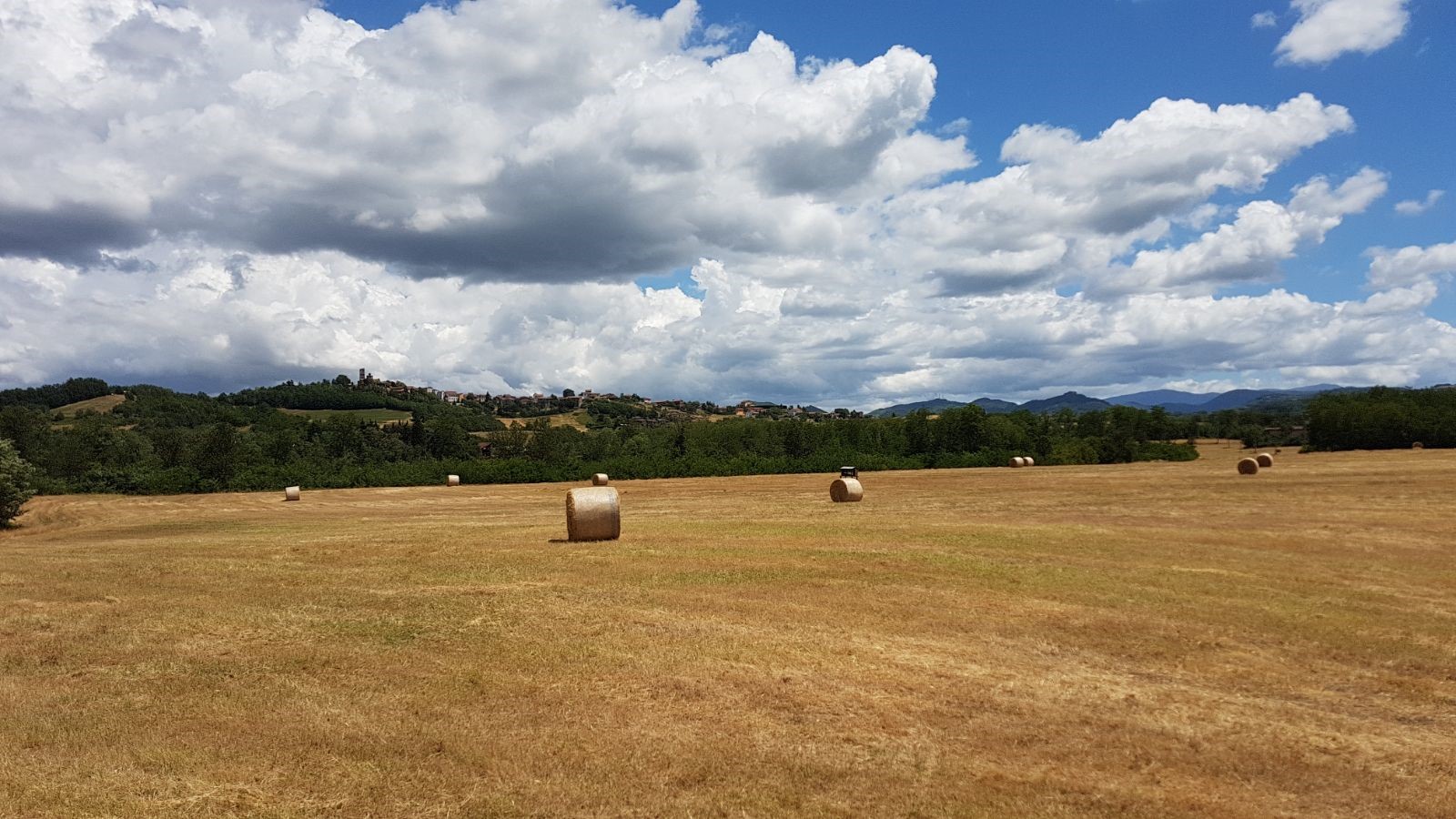 Centro Ippico in provincia di Alessandria - Maneggio a Gavazzana, a pochi chilometri da Novi Ligure, Tortona e Serravalle Scrivia, in Piemonte. Lezioni di equitazione a bambini e adulti, pensione, doma e addestramento cavalli e giovani cavalli, agonismo con gare/competizioni di salto ostacoli, dressage e cross country. Passeggiate a cavallo.