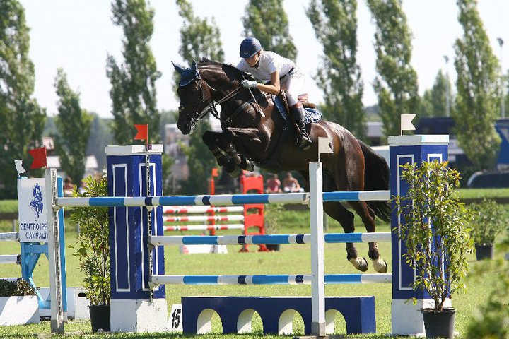 Centro Ippico in provincia di Alessandria - Maneggio a Gavazzana, a pochi chilometri da Novi Ligure, Tortona e Serravalle Scrivia, in Piemonte. Lezioni di equitazione a bambini e adulti, pensione, doma e addestramento cavalli e giovani cavalli, agonismo con gare/competizioni di salto ostacoli, dressage e cross country. Passeggiate a cavallo.