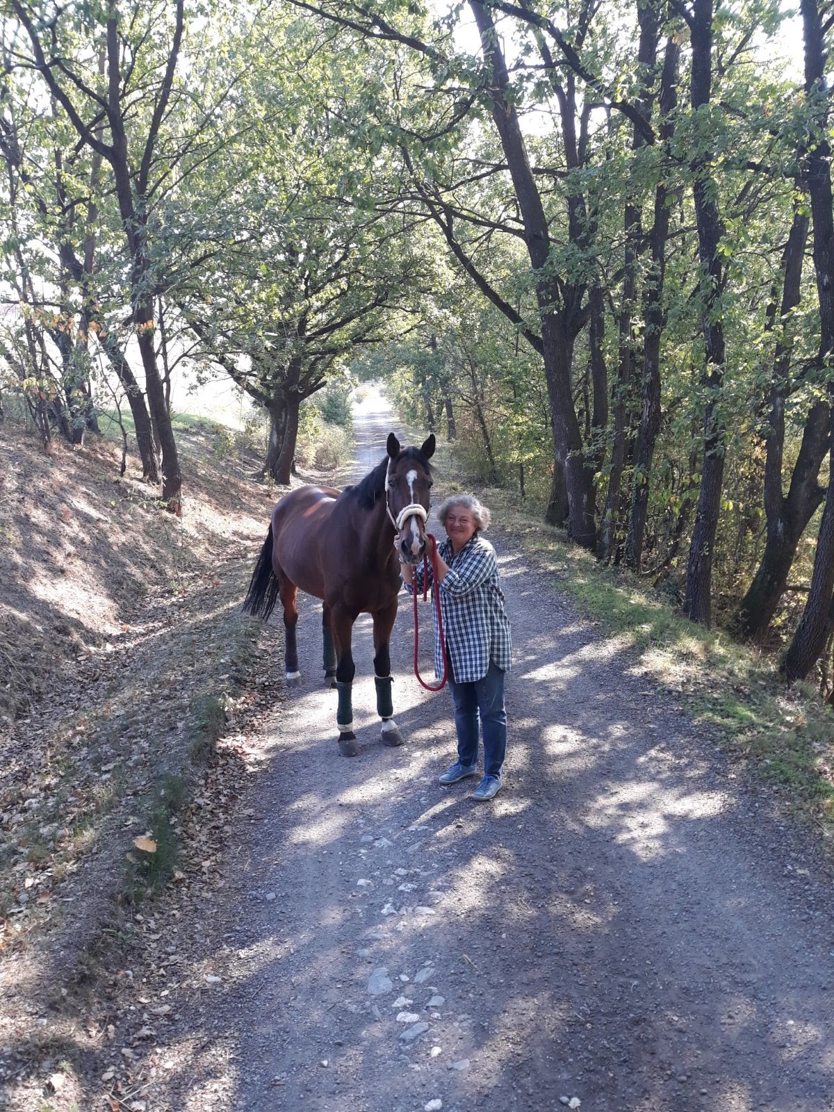 Centro Ippico in provincia di Alessandria - Maneggio a Gavazzana, a pochi chilometri da Novi Ligure, Tortona e Serravalle Scrivia, in Piemonte. Lezioni di equitazione a bambini e adulti, pensione, doma e addestramento cavalli e giovani cavalli, agonismo con gare/competizioni di salto ostacoli, dressage e cross country. Passeggiate a cavallo.