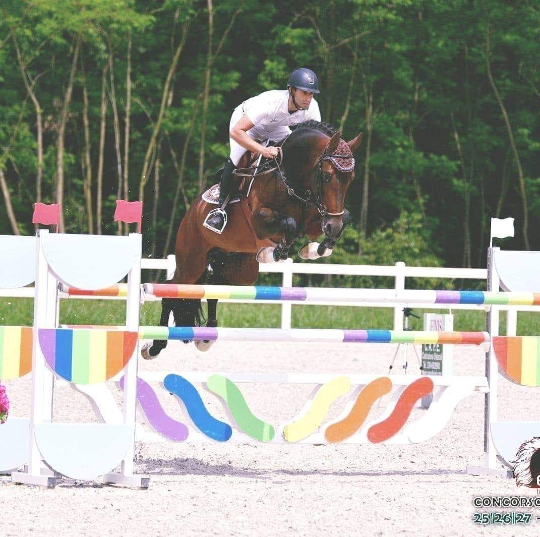 Centro Ippico in provincia di Alessandria - Maneggio a Gavazzana, a pochi chilometri da Novi Ligure, Tortona e Serravalle Scrivia, in Piemonte. Lezioni di equitazione a bambini e adulti, pensione, doma e addestramento cavalli e giovani cavalli, agonismo con gare/competizioni di salto ostacoli, dressage e cross country. Passeggiate a cavallo.